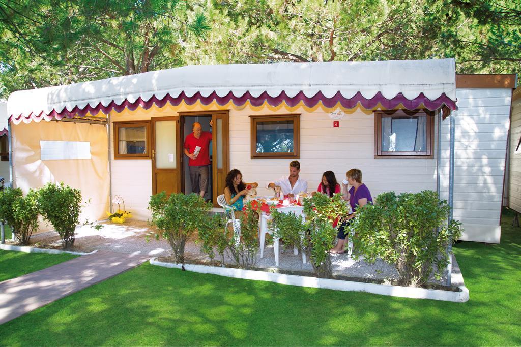 Luxury Mobile Home Beach,395355543:JPEG